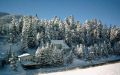 pictures/sp_winter.jpg